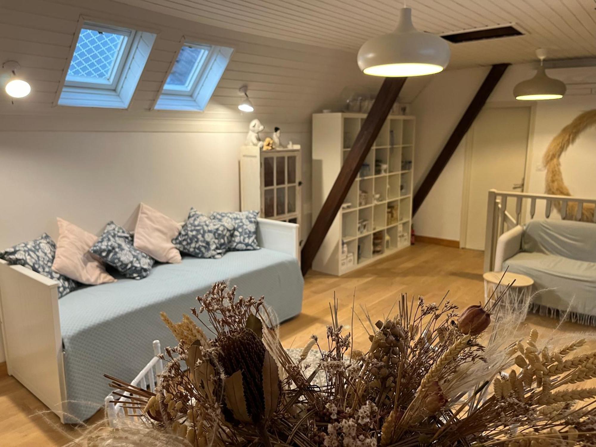 Etage Entier Prive, 45m2 Chez Regine Сasa de vacaciones Schiltigheim
